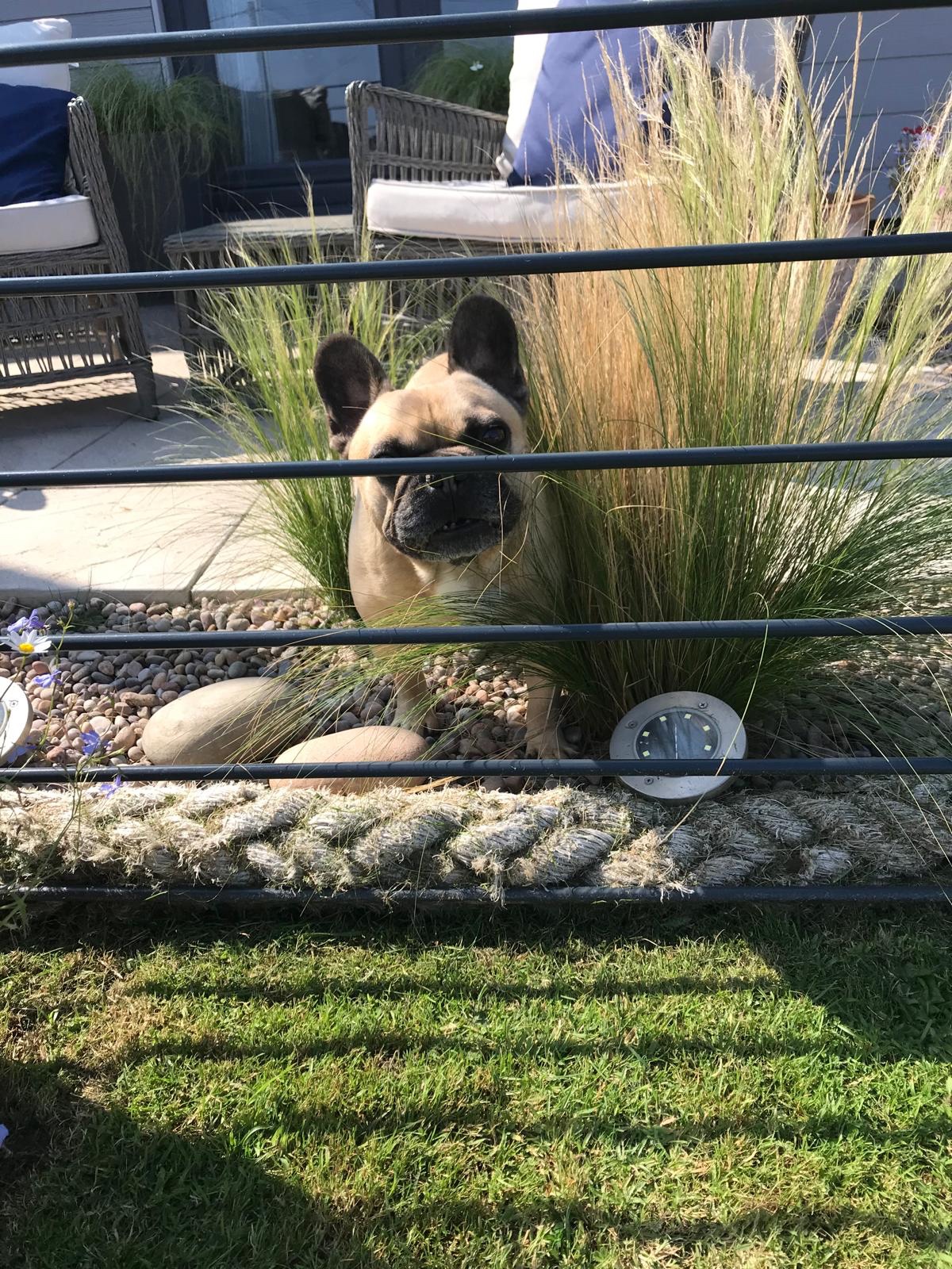 ocean Drive Apartments boutique 5