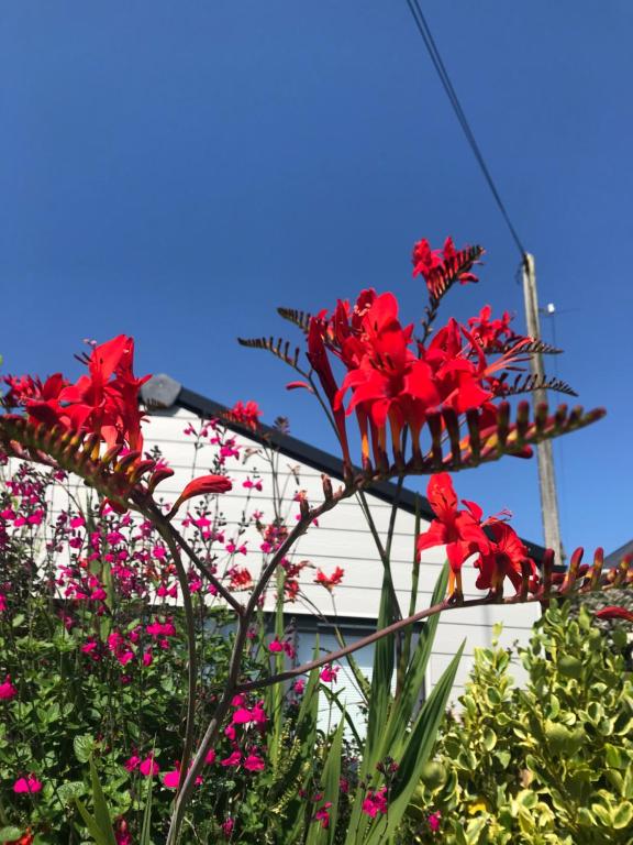 ocean Drive Apartments - portfolio - 21