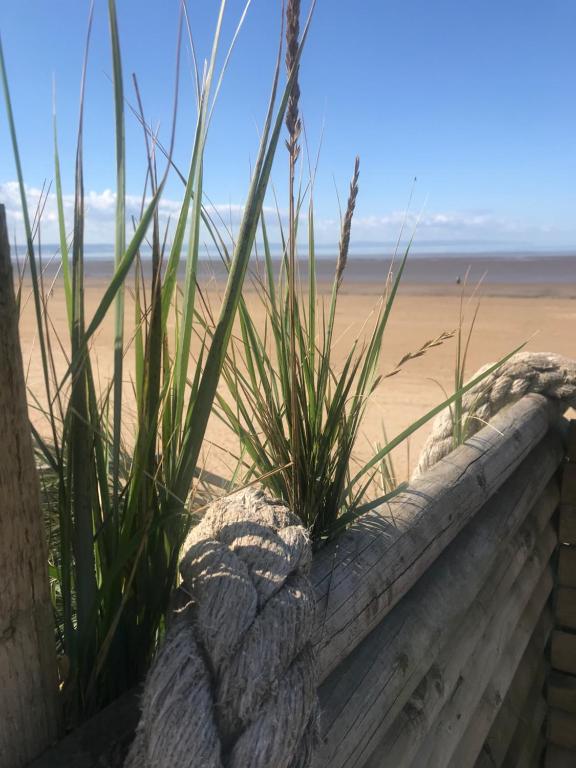 ocean Drive Apartments - portfolio - 1