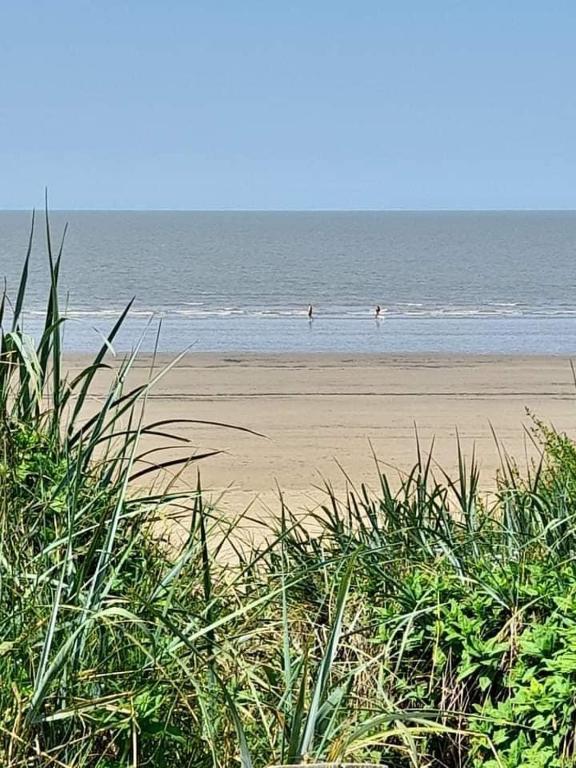 ocean Drive Apartments - portfolio - 2