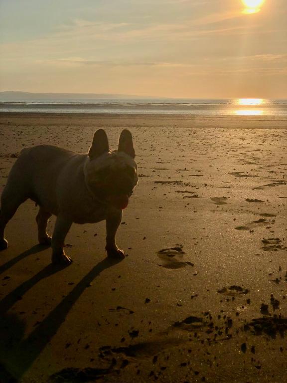 ocean Drive Apartments - portfolio - 3