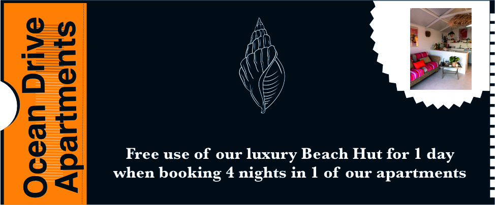 ocean Drive Apartments Home 1